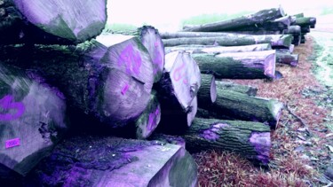Fotografia zatytułowany „Le cimetière des gr…” autorstwa Janie B., Oryginalna praca, Fotografia cyfrowa