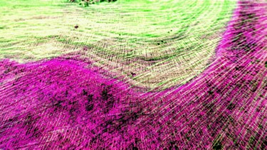 Abstraction arbre rose. studio-20190105-164942.jpg Photographie intitulée "Abstraction arbre r…" par Janie B., Œuvre d'art originale, Photographie numérique