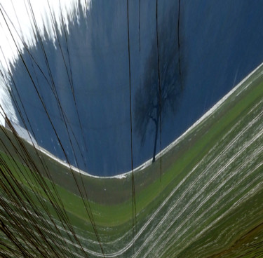 Mon arbre , toujours…autrement....