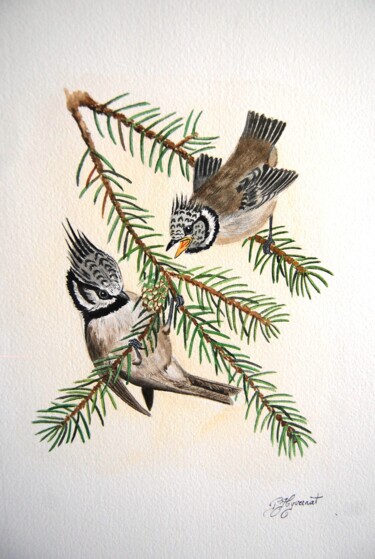 Peinture intitulée "mésanges huppées -a…" par Patricia Giroldini Hyvernat, Œuvre d'art originale, Aquarelle