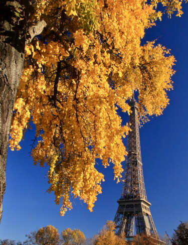 Paris, Tour Eiffel arbre jaune Photographie intitulée "Paris, Tour Eiffel…" par Pierre-Yves Rospabé, Œuvre d'art originale, Photographie numérique