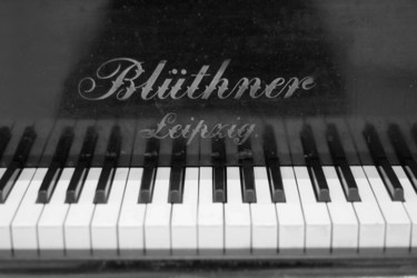 Фотография под названием "Blüthner" - Nikolay Biryukov, Подлинное произведение искусства