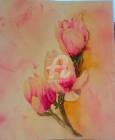 Peinture intitulée "2017-magnolias.jpg" par Aquarelles D'Ô, Œuvre d'art originale, Aquarelle