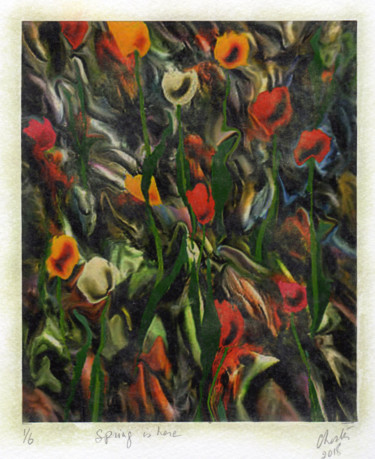 Printmaking titled "Spring is here" by Richard Raveen Chester, Original Artwork, Digital Print