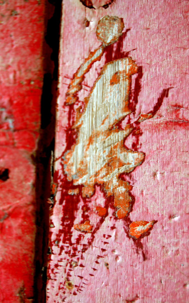 Fotografie mit dem Titel "Personnage 4" von Laurence Rolland-Jibard, Original-Kunstwerk