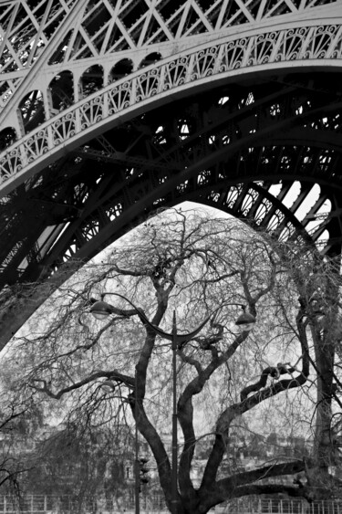 Paris, L'arbre devant la Tour Eiffel Photographie intitulée "Paris, L'arbre deva…" par Pierre-Yves Rospabé, Œuvre d'art originale, Photographie numérique