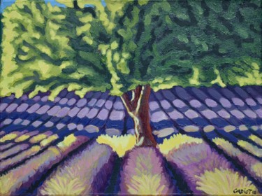 Peinture intitulée "Arbre de Provence" par Christophe Cadiot, Œuvre d'art originale, Huile