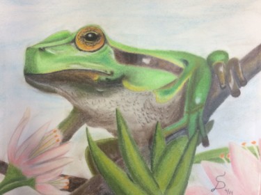 Malerei mit dem Titel "grenouille" von Stefan Dhein, Original-Kunstwerk, Pastell
