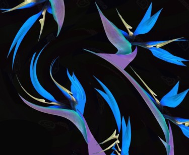 Digital Arts titled "Nocturnal flights" by Peter Jalesh, Original Artwork, Digital Painting
