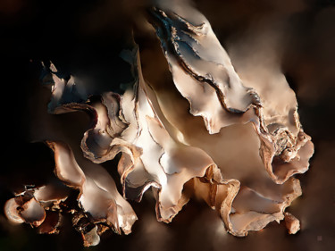 Photographie intitulée "Efflouage 0449-090" par Sylvie Dessert (Syl), Œuvre d'art originale, Photographie numérique
