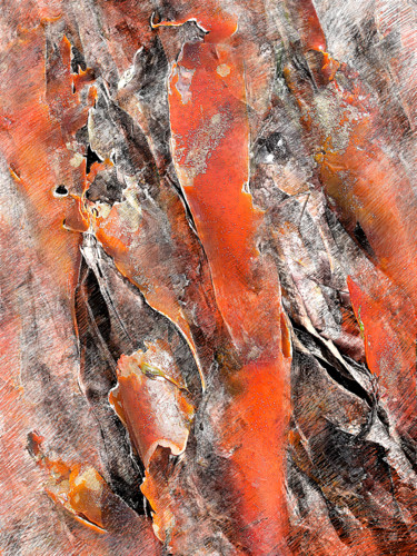 Photographie intitulée "Crayonnée 0441-028" par Sylvie Dessert (Syl), Œuvre d'art originale, Photographie manipulée