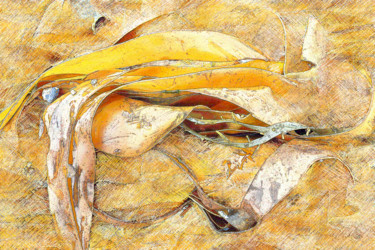 Photographie intitulée "Crayonnée 0502-070" par Sylvie Dessert (Syl), Œuvre d'art originale, Photographie manipulée