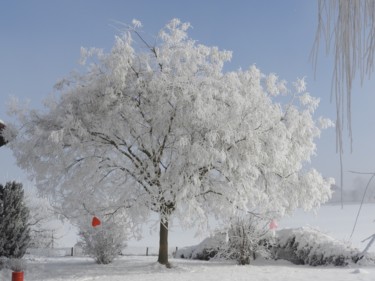Arbre à cœurs, mon arbre autrement, givré.
