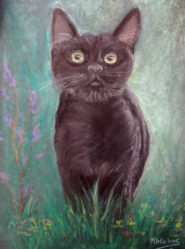 Dessin intitulée "Kira" par Marian Cobos, Œuvre d'art originale, Craie