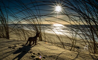 Petit être curieux de découvrir le monde ... Photographie intitulée "Petit être curieux…" par Thierry Magliulo (Th.Mag), Œuvre d'art originale