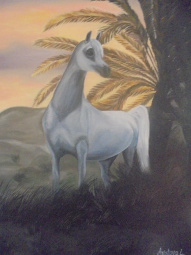 제목이 "White Arabian horse…"인 미술작품 Liubov Aristova로, 원작, 기름