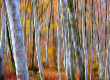 Photography titled "Couleurs....." by Philippe Berthier, Original Artwork, Digital Photography