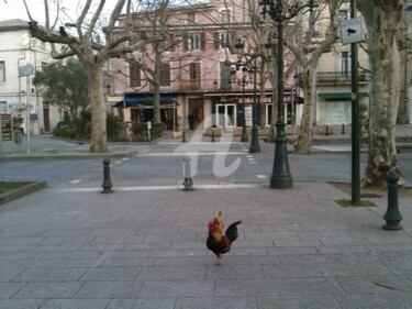 제목이 "De crus poulets à l…"인 사진 Map'Titartisterie로, 원작, 조작되지 않은 사진