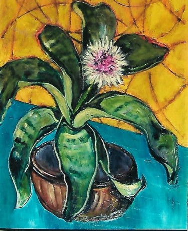 cactus in fiore