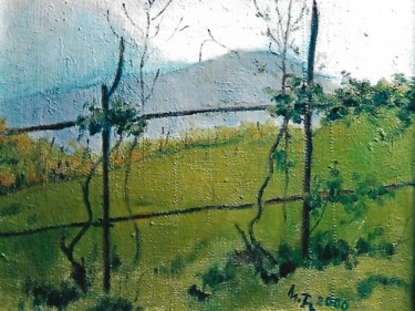 11-vigneto-