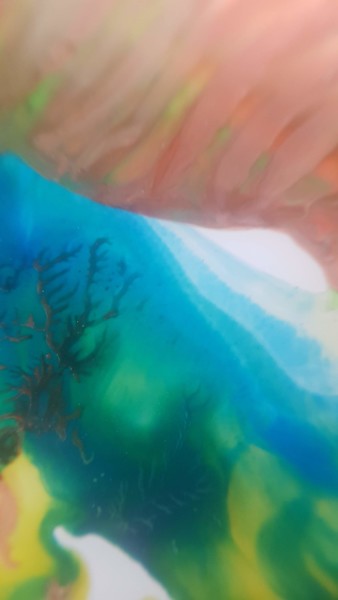 Photography titled "Underwater world" by Atelier De Ijsvogel, Original Artwork
