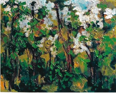 3-alberi-nel primo autunno
