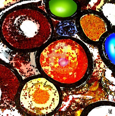 Digital Arts titled "Pélican." by Tito Villa, Original Artwork, Digital Painting