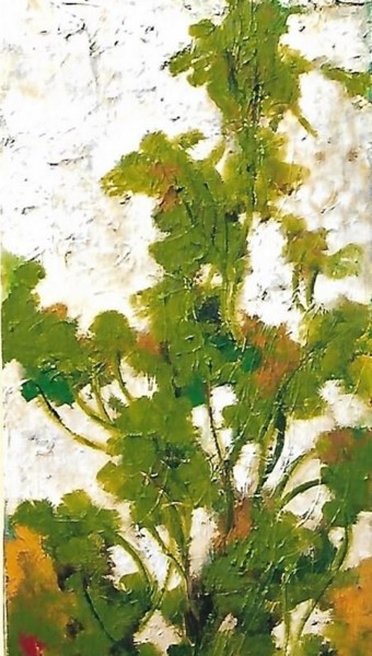 3-rami in vegetazione