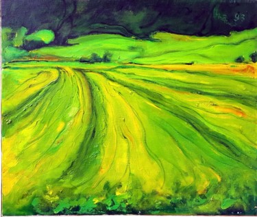 11-campagna-