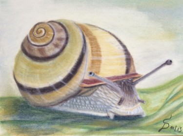 Malerei mit dem Titel "L‘ escargot / die S…" von Stefan Dhein, Original-Kunstwerk, Pastell