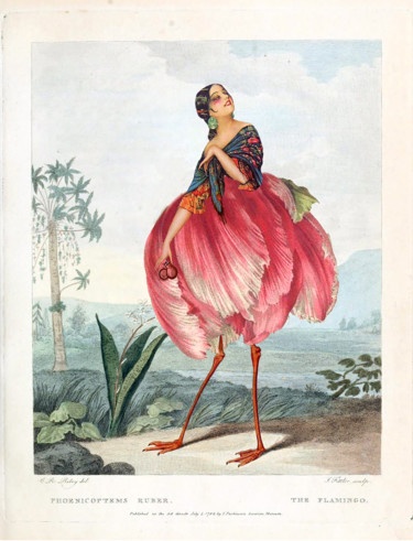 Arts numériques intitulée "Mademoiselle FLAFLA…" par Solange Gautier, Œuvre d'art originale, Collages