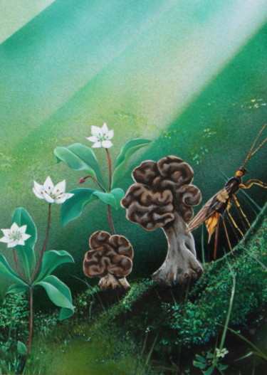 绘画 标题为“Planche 7: cérébroï…” 由Bernard Domange, 原创艺术品, 丙烯