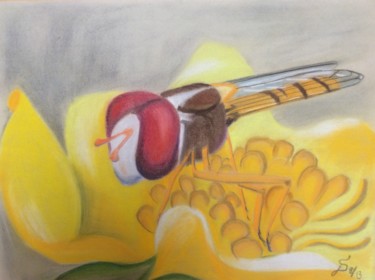 Malerei mit dem Titel "Schwebfliege" von Stefan Dhein, Original-Kunstwerk, Pastell