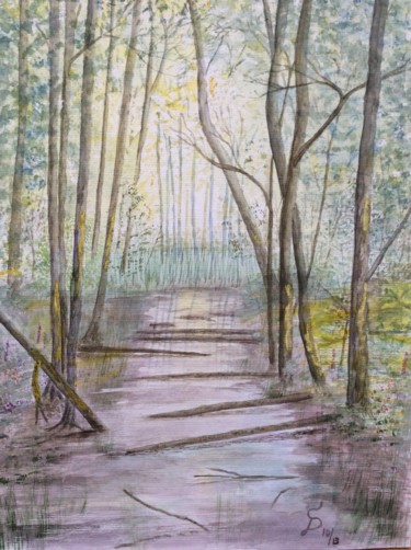 Malerei mit dem Titel "Müritz" von Stefan Dhein, Original-Kunstwerk, Aquarell