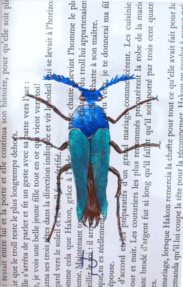 Collages titled "metoecus-paradoxus.…" by Hélène Lacquement, Original Artwork, Paper