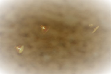 Photographie intitulée "La lumiere" par Dominique Guillaume, Œuvre d'art originale, Photographie numérique