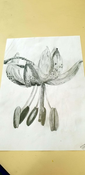 Une belle fleur