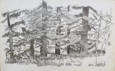 Desenho intitulada "LA FORET DE CEDRES…" por Michel Moskovtchenko, Obras de arte originais, Lápis
