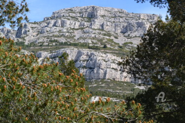 Calanque de Sugiton II