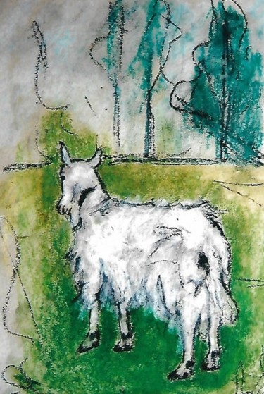 4-capretta-