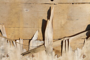 Photography titled "Sénilité - img-3834" by Jacques Jégo, Original Artwork, Non Manipulated Photography