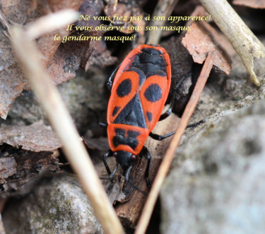 Photographie intitulée "Le gendarme masqué" par Rosyline, Œuvre d'art originale