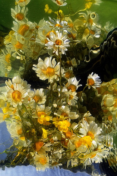 제목이 "marguerites et bout…"인 사진 Aquartistiq로, 원작, 디지털