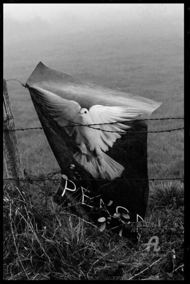 Photographie intitulée "peace-and-love.jpg" par Alepph.K, Œuvre d'art originale