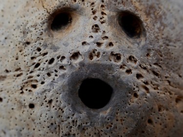 Photography titled "coco" by François Carage, Original Artwork