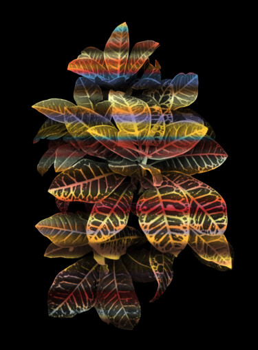 Printmaking titled "Heavenly plants Nº08" by Sumit Ratta, Original Artwork, Digital Print
