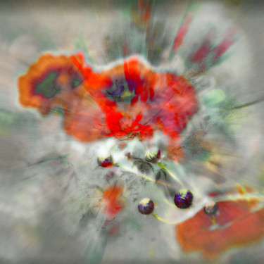 Photography titled "Transmutation" by Michel Guillaumeau, Original Artwork, Digital Photography
