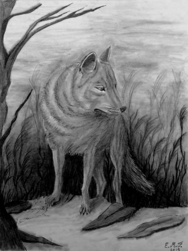 Wolf