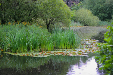 CITY GARDEN