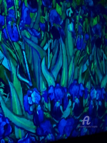 Photographie intitulée "Hommage à Vincent V…" par Grafi, Œuvre d'art originale